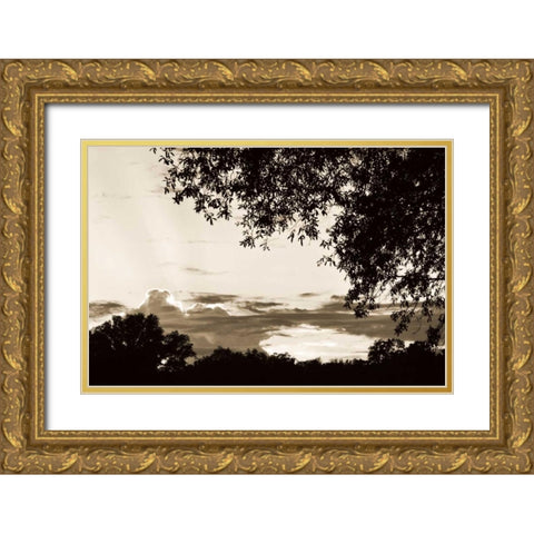 Sunset through Trees I Gold Ornate Wood Framed Art Print with Double Matting by Hausenflock, Alan