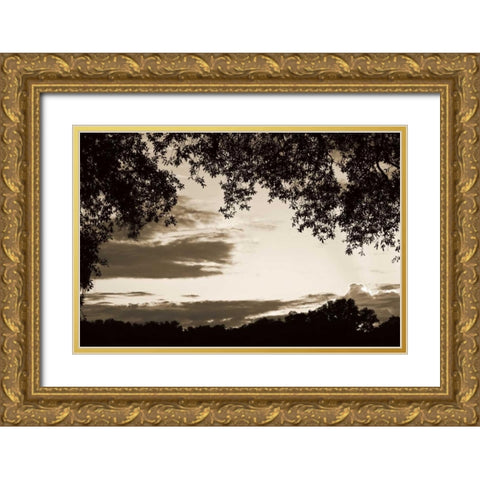 Sunset through Trees II Gold Ornate Wood Framed Art Print with Double Matting by Hausenflock, Alan