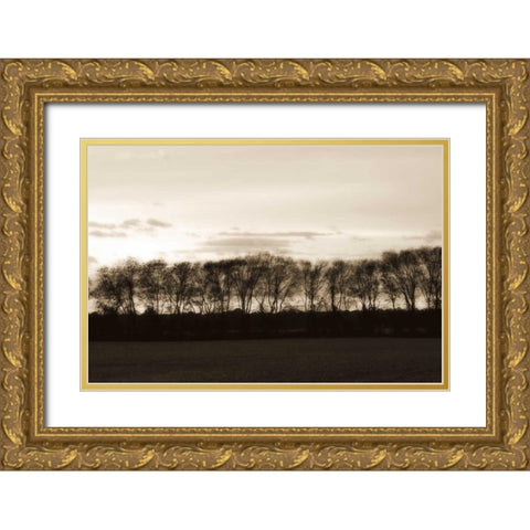 Winter Sunset II Gold Ornate Wood Framed Art Print with Double Matting by Hausenflock, Alan