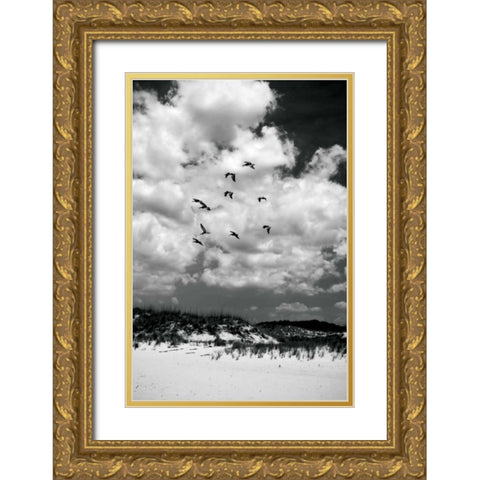 Pelicans over Dunes V Gold Ornate Wood Framed Art Print with Double Matting by Hausenflock, Alan