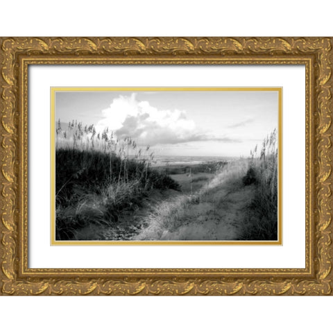 Dunes I Gold Ornate Wood Framed Art Print with Double Matting by Hausenflock, Alan