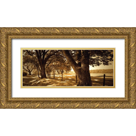 Summer Stroll Panel II Gold Ornate Wood Framed Art Print with Double Matting by Hausenflock, Alan
