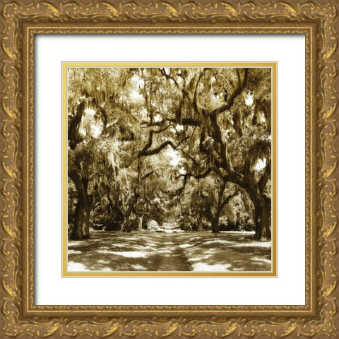 Druid Oak Square I Gold Ornate Wood Framed Art Print with Double Matting by Hausenflock, Alan