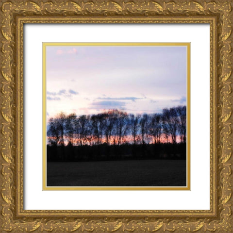 Winter Sunset Square II Gold Ornate Wood Framed Art Print with Double Matting by Hausenflock, Alan