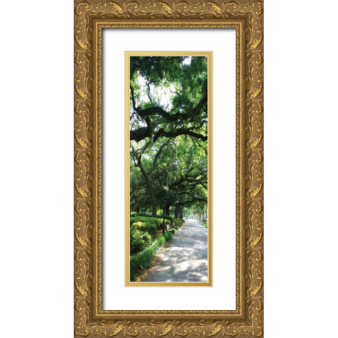 Savannah Sidewalk Panel II Gold Ornate Wood Framed Art Print with Double Matting by Hausenflock, Alan