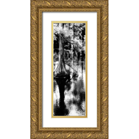 Trenton Cyprus Panel II Gold Ornate Wood Framed Art Print with Double Matting by Hausenflock, Alan