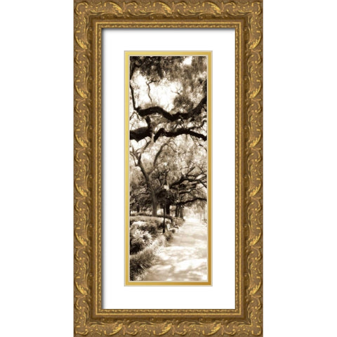 Savannah in Sepia II Gold Ornate Wood Framed Art Print with Double Matting by Hausenflock, Alan
