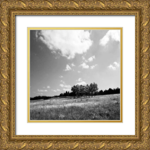 Tree Line Sq. I Gold Ornate Wood Framed Art Print with Double Matting by Hausenflock, Alan