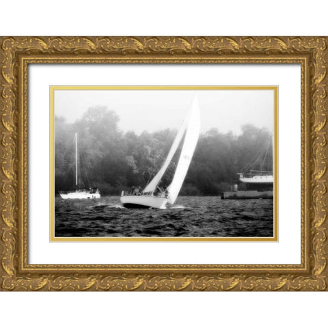 In the Channel I Gold Ornate Wood Framed Art Print with Double Matting by Hausenflock, Alan