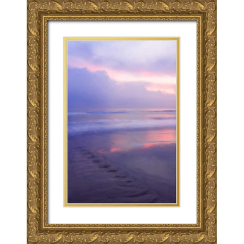 Wrightsville Sunrise II Gold Ornate Wood Framed Art Print with Double Matting by Hausenflock, Alan