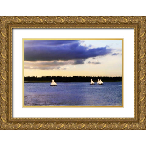 Sunfish Sailors I Gold Ornate Wood Framed Art Print with Double Matting by Hausenflock, Alan