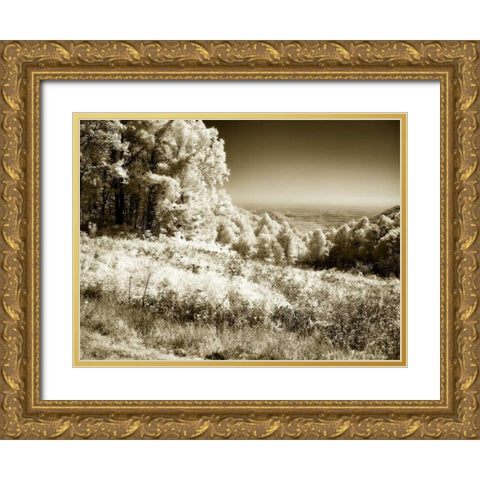 Swift Run Gap I Gold Ornate Wood Framed Art Print with Double Matting by Hausenflock, Alan