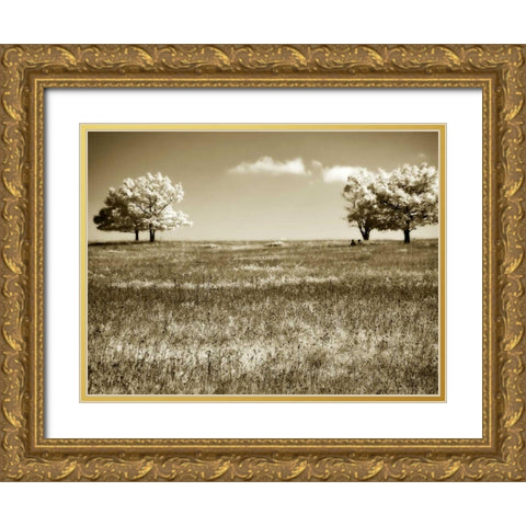 Mountain Picnic I Gold Ornate Wood Framed Art Print with Double Matting by Hausenflock, Alan