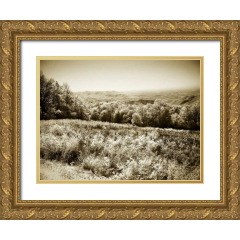 Piney Mountain I Gold Ornate Wood Framed Art Print with Double Matting by Hausenflock, Alan