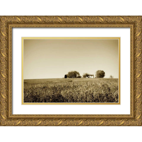 Goochland Farm I Gold Ornate Wood Framed Art Print with Double Matting by Hausenflock, Alan