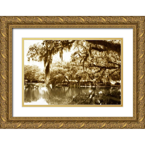 Mossy Lake II Gold Ornate Wood Framed Art Print with Double Matting by Hausenflock, Alan