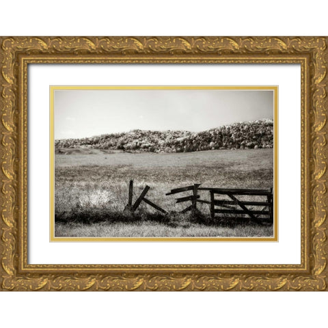 Autumn Pastures III Gold Ornate Wood Framed Art Print with Double Matting by Hausenflock, Alan