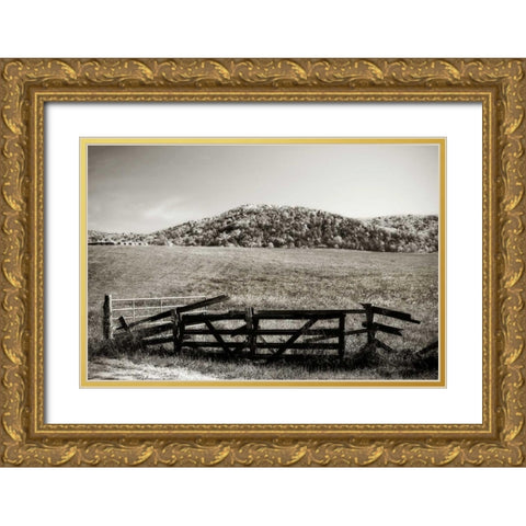 Autumn Pastures IV Gold Ornate Wood Framed Art Print with Double Matting by Hausenflock, Alan