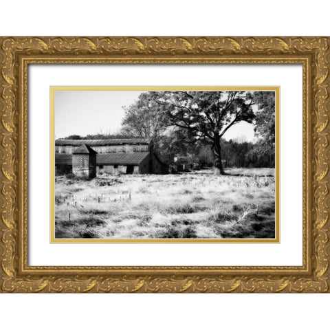 Fallow Fields II Gold Ornate Wood Framed Art Print with Double Matting by Hausenflock, Alan