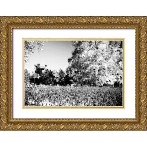 Rural Route III3 II Gold Ornate Wood Framed Art Print with Double Matting by Hausenflock, Alan