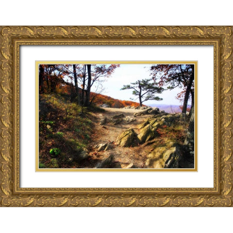 Stoney Ridge I Gold Ornate Wood Framed Art Print with Double Matting by Hausenflock, Alan