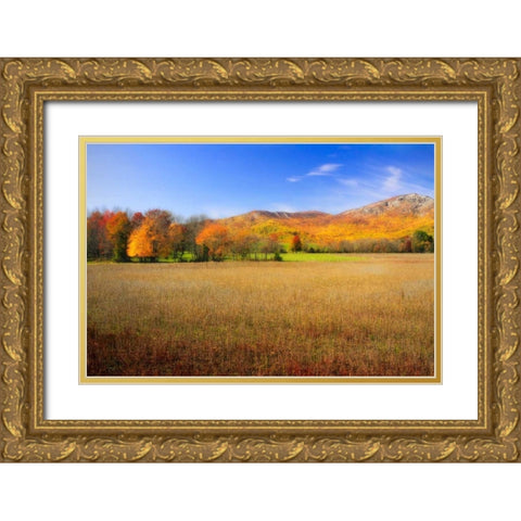 Old Rag Mountain I Gold Ornate Wood Framed Art Print with Double Matting by Hausenflock, Alan