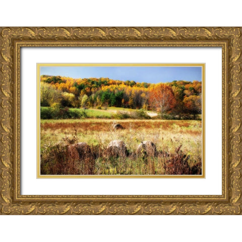 Sperryville Fields II Gold Ornate Wood Framed Art Print with Double Matting by Hausenflock, Alan