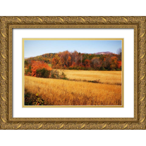 Sperryville Fields IV Gold Ornate Wood Framed Art Print with Double Matting by Hausenflock, Alan
