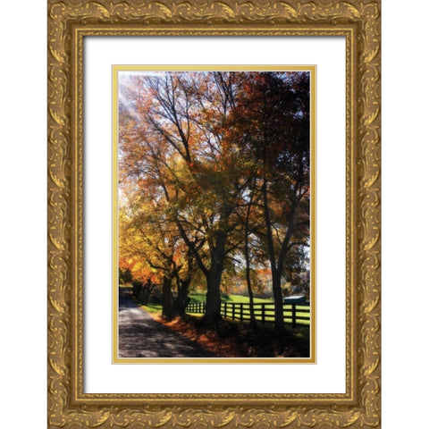 Country Road IV Gold Ornate Wood Framed Art Print with Double Matting by Hausenflock, Alan