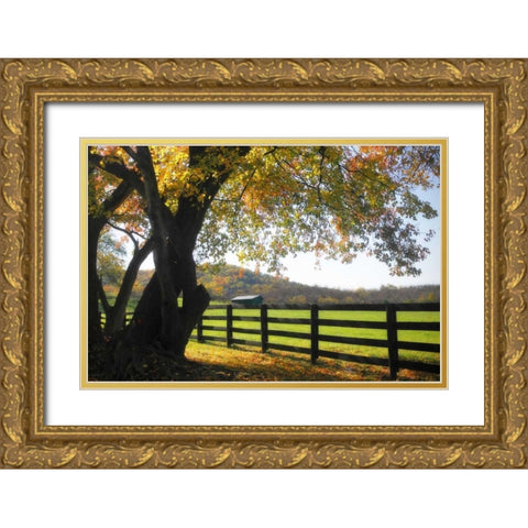 Hillside Farm II Gold Ornate Wood Framed Art Print with Double Matting by Hausenflock, Alan