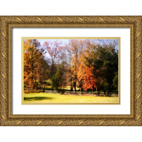 Keswick Pasture II Gold Ornate Wood Framed Art Print with Double Matting by Hausenflock, Alan