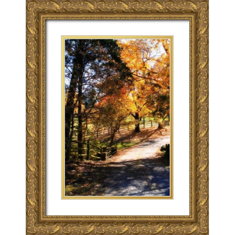 Autumn on Kent Farm III Gold Ornate Wood Framed Art Print with Double Matting by Hausenflock, Alan