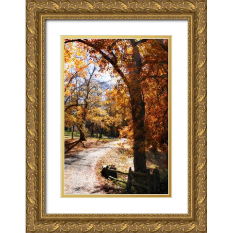 Autumn on Kent Farm IV Gold Ornate Wood Framed Art Print with Double Matting by Hausenflock, Alan