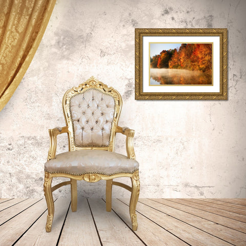 Autumn Mist IV Gold Ornate Wood Framed Art Print with Double Matting by Hausenflock, Alan