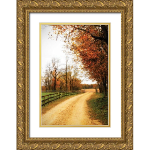 Gray Skies I Gold Ornate Wood Framed Art Print with Double Matting by Hausenflock, Alan