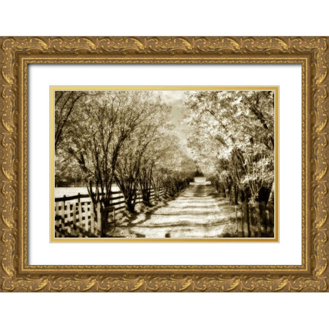 Glen Allen Farm I Gold Ornate Wood Framed Art Print with Double Matting by Hausenflock, Alan