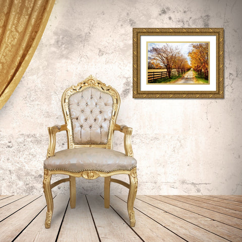 Glen Allen Farm IV Gold Ornate Wood Framed Art Print with Double Matting by Hausenflock, Alan