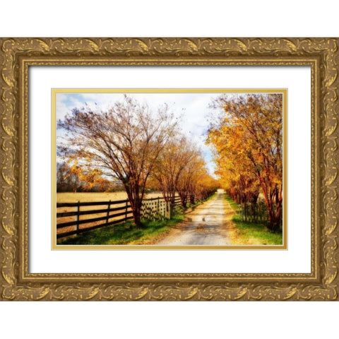 Glen Allen Farm IV Gold Ornate Wood Framed Art Print with Double Matting by Hausenflock, Alan