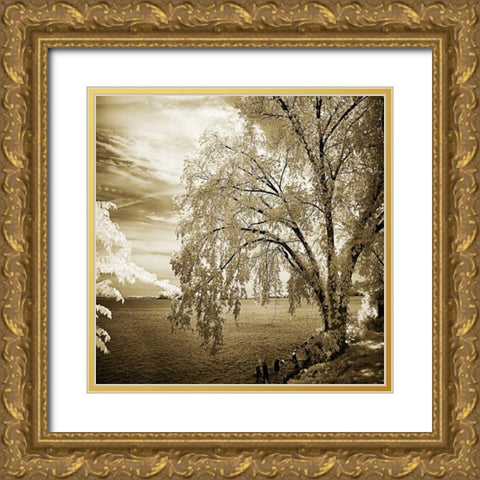 Hopewell Shores II Gold Ornate Wood Framed Art Print with Double Matting by Hausenflock, Alan