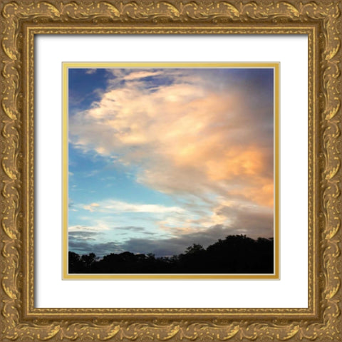 Rainbow Cloud Sq. II Gold Ornate Wood Framed Art Print with Double Matting by Hausenflock, Alan