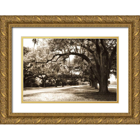 Charleston Oaks 9 Sepia Gold Ornate Wood Framed Art Print with Double Matting by Hausenflock, Alan