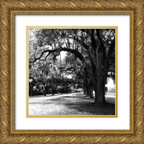 Charleston Oaks Sq IX Gold Ornate Wood Framed Art Print with Double Matting by Hausenflock, Alan