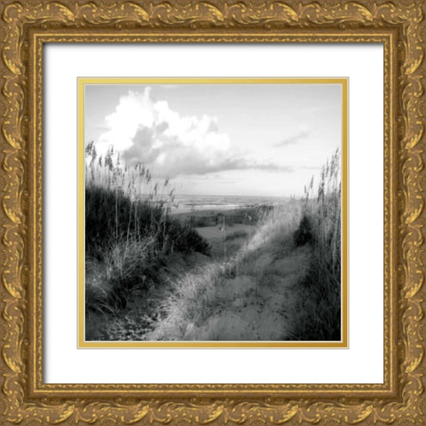 Dunes I Sq. BW Gold Ornate Wood Framed Art Print with Double Matting by Hausenflock, Alan