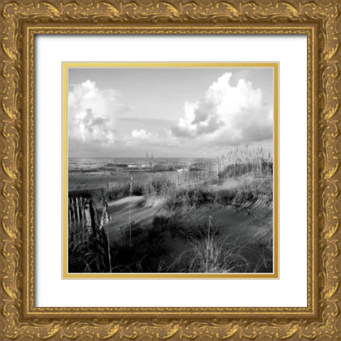 Dunes II Sq. BW Gold Ornate Wood Framed Art Print with Double Matting by Hausenflock, Alan