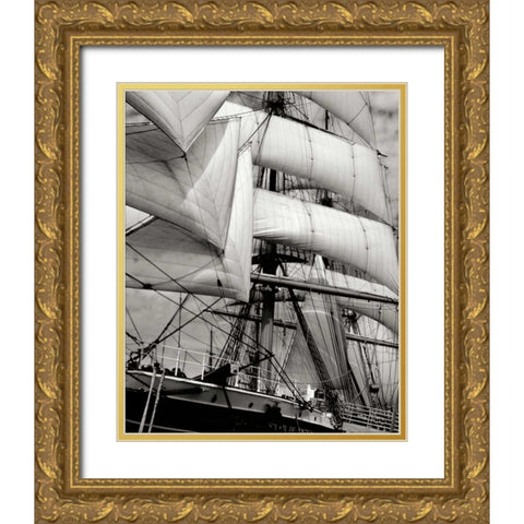 Star of India II Gold Ornate Wood Framed Art Print with Double Matting by Johnson, George