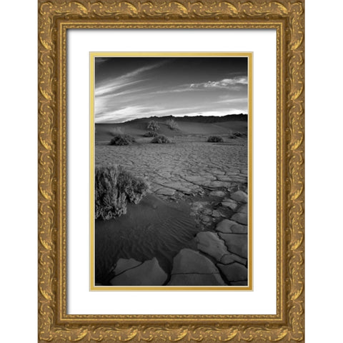 Death Valley Dunes II Gold Ornate Wood Framed Art Print with Double Matting by Johnson, George