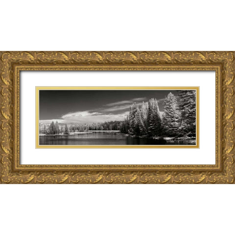 Yellowstone River Gold Ornate Wood Framed Art Print with Double Matting by Johnson, George