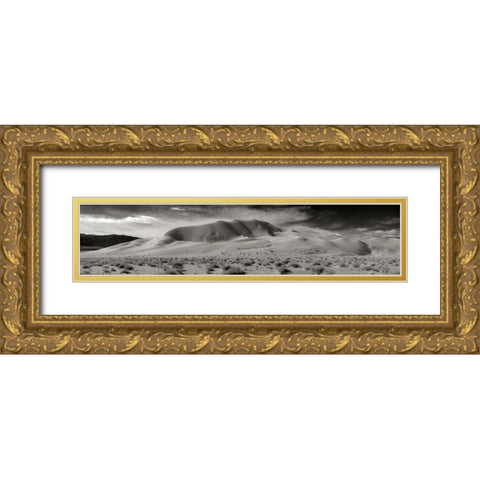 Eureka Dunes Gold Ornate Wood Framed Art Print with Double Matting by Johnson, George