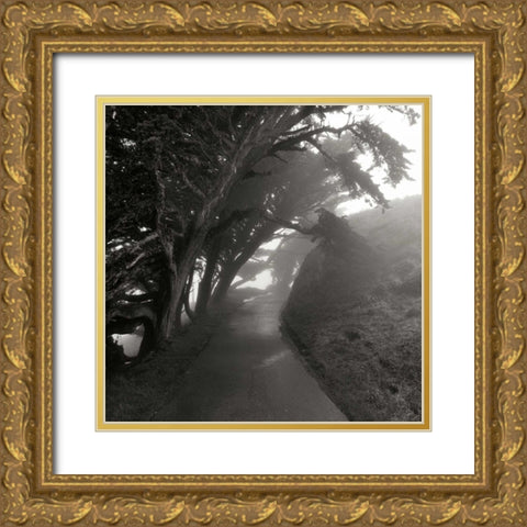 Point Reyes III Gold Ornate Wood Framed Art Print with Double Matting by Johnson, George