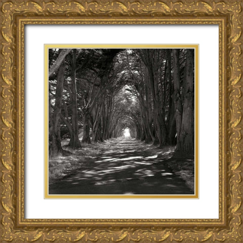 Point Reyes IV Gold Ornate Wood Framed Art Print with Double Matting by Johnson, George
